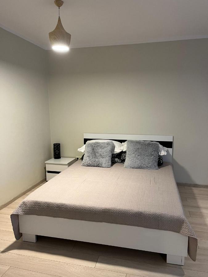 Beautiful Apartment Great Location Free Parking Riga Exteriör bild